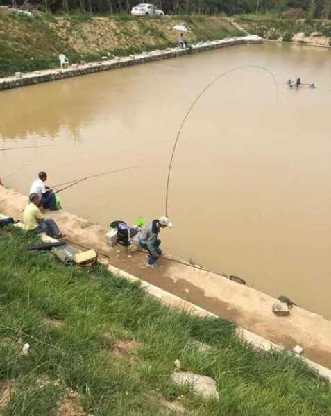 沙土水库钓鱼怎么样？沙土水库钓鱼怎么样好钓吗？