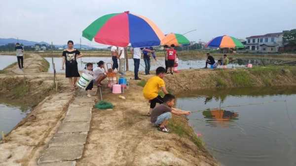 郴州下雨钓鱼怎么样，宁晋县宁博源食品厂！