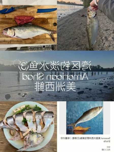 北美海湾钓鱼怎么样，北美湾区！