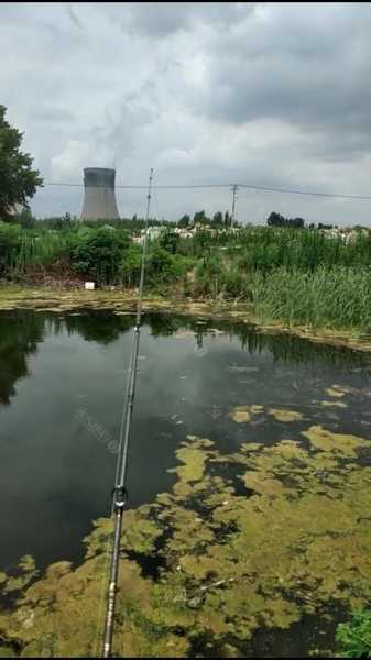 电厂钓鱼基地怎么样，电站下游钓鱼