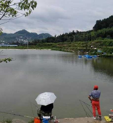 麻田磷矿钓鱼怎么样，麻田磷矿钓鱼怎么样好用吗？