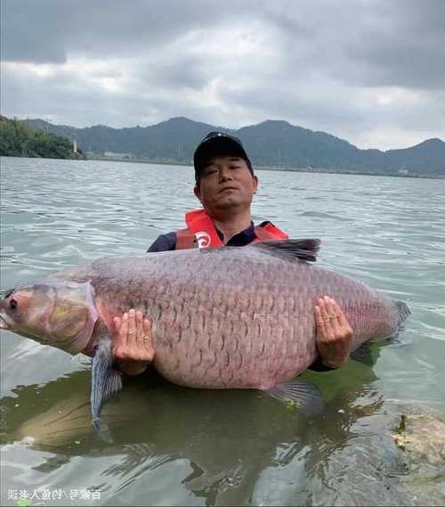 新乡巨物钓鱼怎么样，巨物钓场经营模式