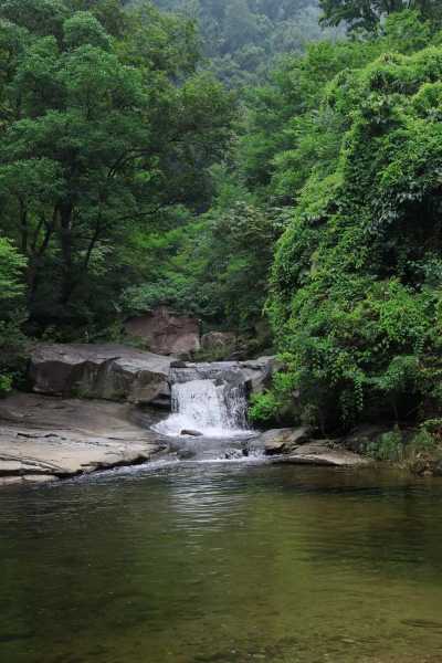 爱河钓鱼怎么样，爱河景区？