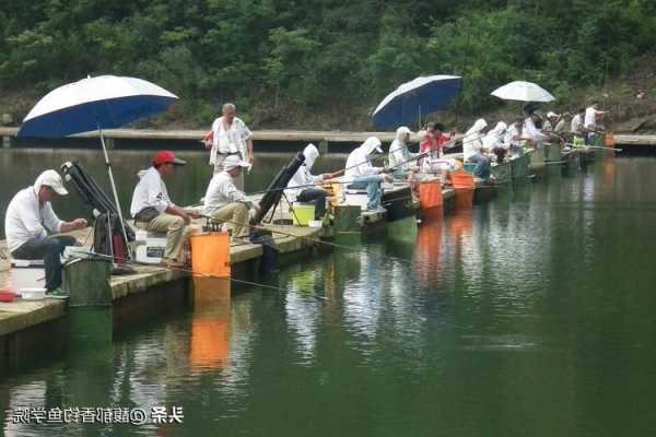 在景区钓鱼怎么样，在景区钓鱼怎么样赚钱？