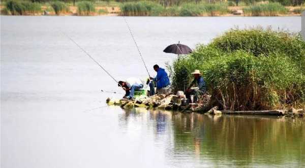 大风天气钓鱼怎么样？大风天气钓鱼怎么样最好？