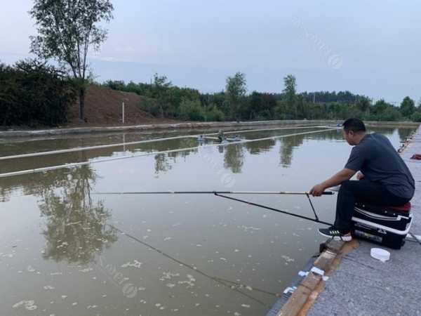 漯河码头钓鱼怎么样，漯河钓场？