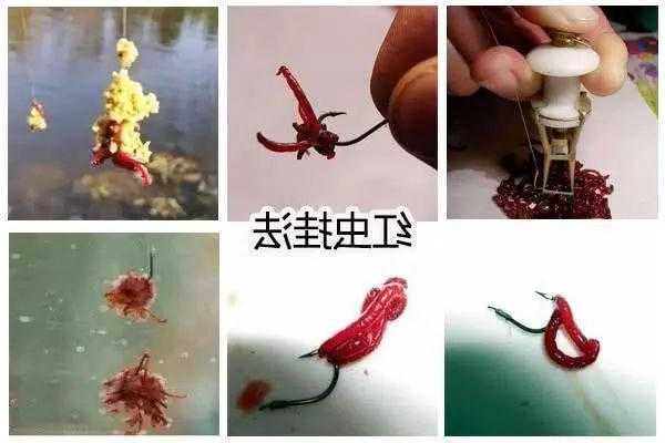 秋冬钓鱼红虫怎么样，秋冬用红虫钓鱼好还是蚯蚓好？