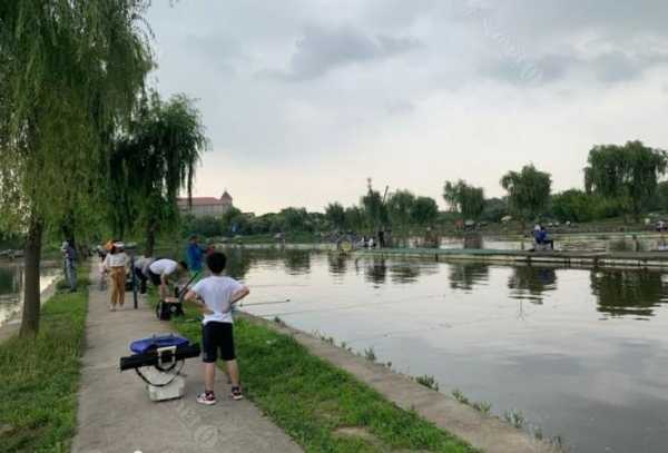 天津踏青钓鱼怎么样，天津踏青哪里好玩