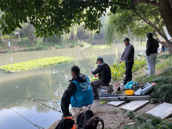 城区水域钓鱼怎么样，城市河流钓鱼