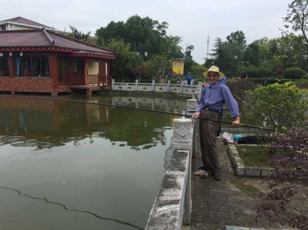 蟠龙沙场钓鱼怎么样，蟠龙生态园！