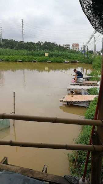 蟠龙沙场钓鱼怎么样，蟠龙生态园！