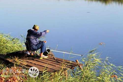 巨野河钓鱼怎么样？巨野河钓鱼怎么样最好？