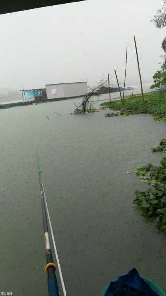 沈丘今天钓鱼怎么样，沈丘今天什么时间下雨？