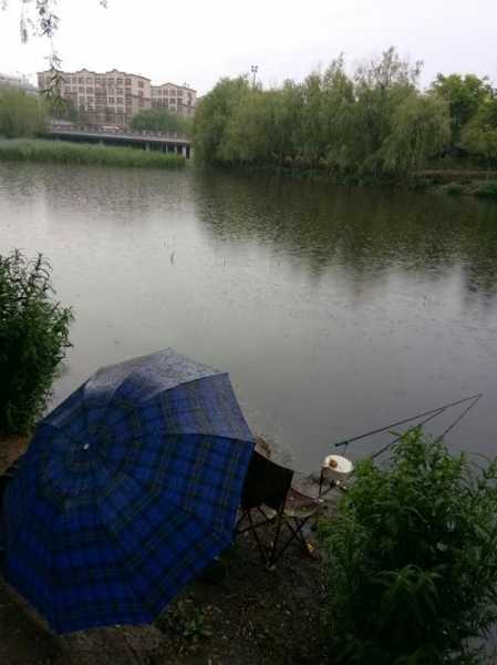 临沂雨天钓鱼怎么样，临沂一直下雨