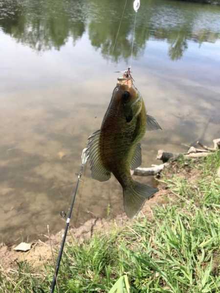 小湖夏天钓鱼怎么样，小湖夏天钓鱼怎么样好钓吗？