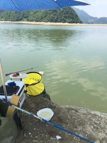 乐平叶子钓鱼怎么样，乐平叶子钓鱼怎么样呀