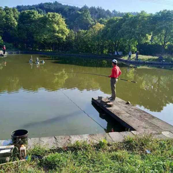 初夏户外钓鱼怎么样，初夏户外钓鱼怎么样啊