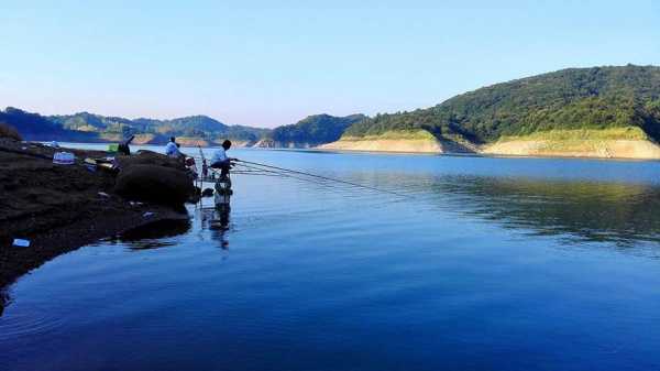 云台钓鱼怎么样，云台山野钓