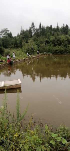 南充旅行钓鱼怎么样，南充野钓的地方