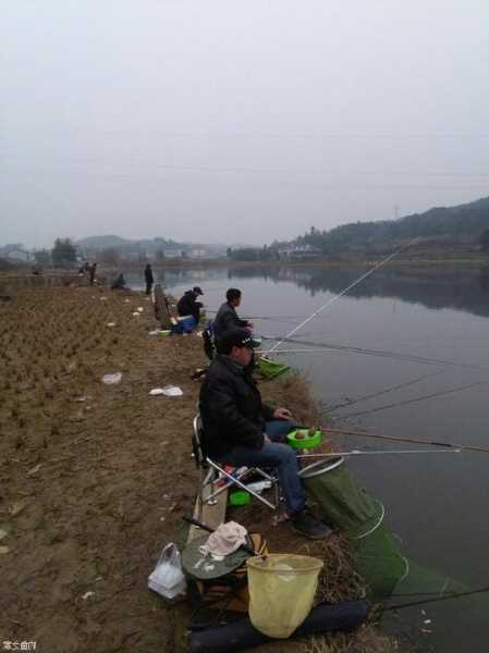 阿力钓鱼怎么样，阿哩野钓基地