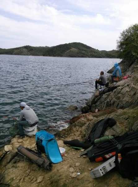 阿力钓鱼怎么样，阿哩野钓基地