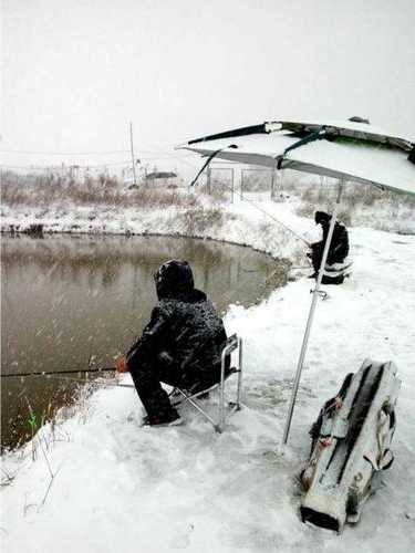 下雪时候钓鱼怎么样，下雪 钓鱼