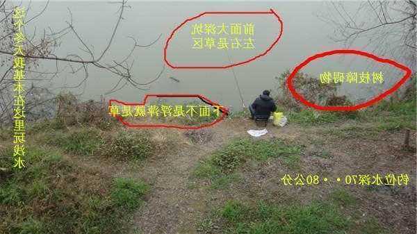 深坑钓鱼怎么样钓？深坑钓鱼技巧？