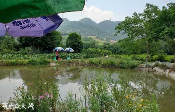 永乐钓鱼场怎么样，西永永乐湖钓鱼！