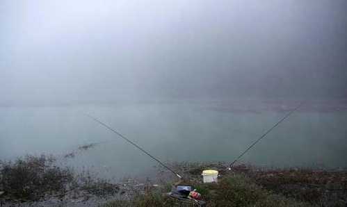 雨雾天气钓鱼怎么样，大雾天气钓鱼？