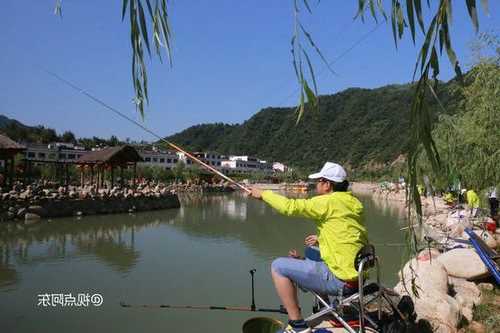 后湾钓鱼怎么样，后湾钓鱼怎么样好钓吗？