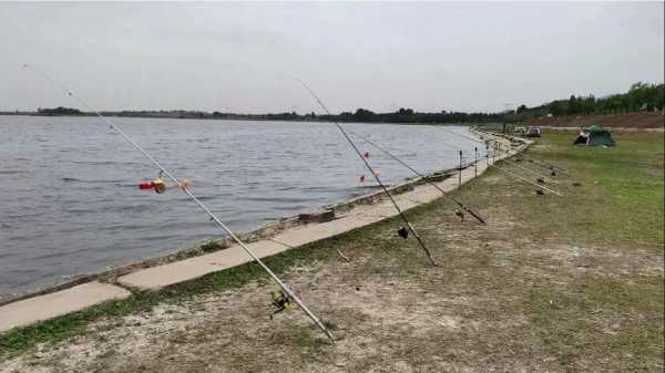 汶河钓鱼怎么样，汶河湿地公园钓鱼