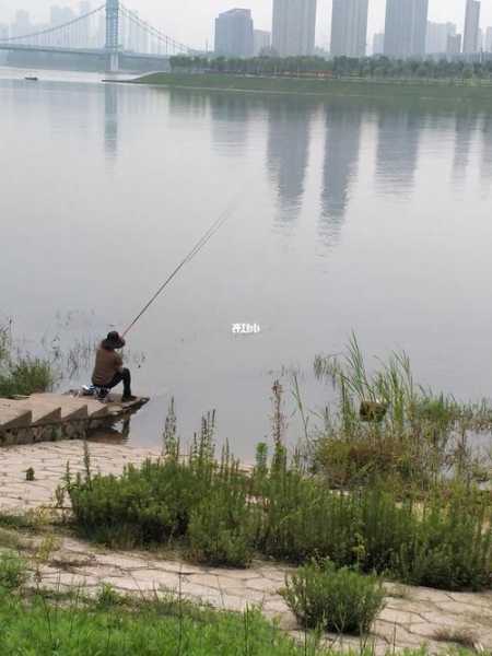 黑马奈子钓鱼怎么样，黑马钓鱼视频？