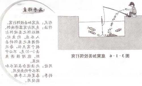 钓鱼怎么样下底窝，钓鱼怎样钓底？