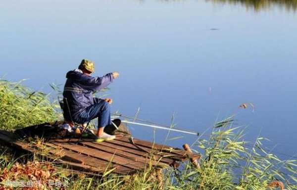 西湖钓鱼技术怎么样，西湖野钓？