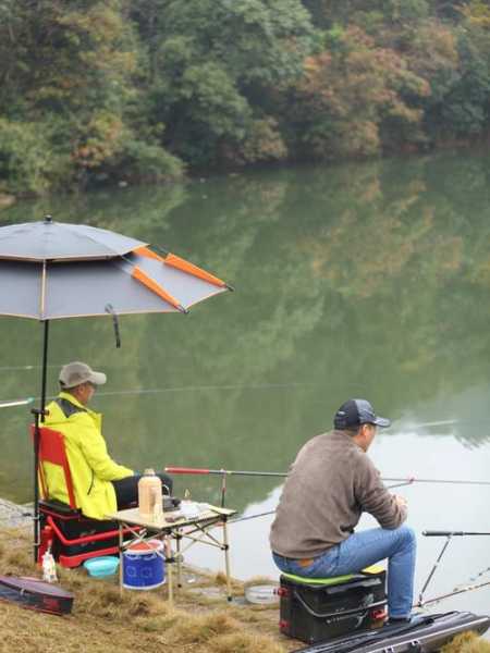 西湖钓鱼技术怎么样，西湖野钓？