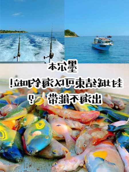 墨尔本钓鱼闲谈怎么样，墨尔本能钓鱼的湖有哪些！