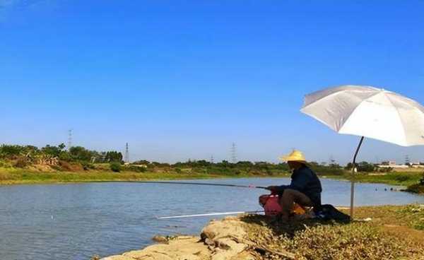 夏季天气钓鱼怎么样，夏季天气钓鱼怎么样好钓吗！