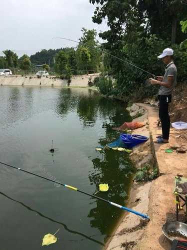 堰塘怎么样钓鱼，堰塘怎么样钓鱼好